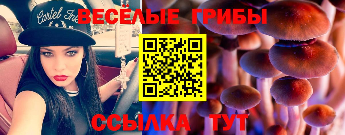 Галлюциногенные грибы Psilocybine cubensis Мытищи